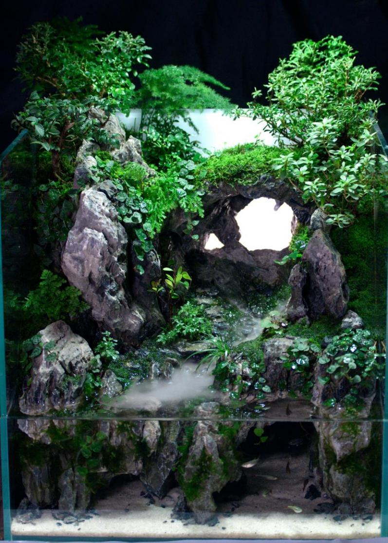 文件名称:image4.jpeg原图大小:NaNGB